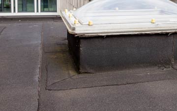 disadvantages of Langport flat roofs